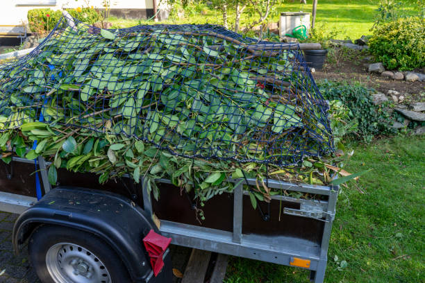 Best Shed Removal  in Elroy, WI